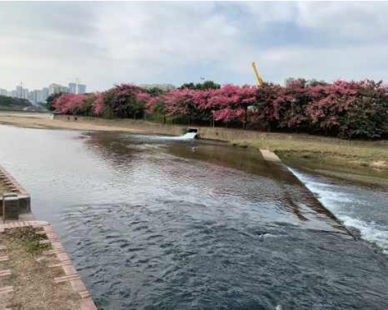 黑臭水体生态补水管道建设工程(二期)